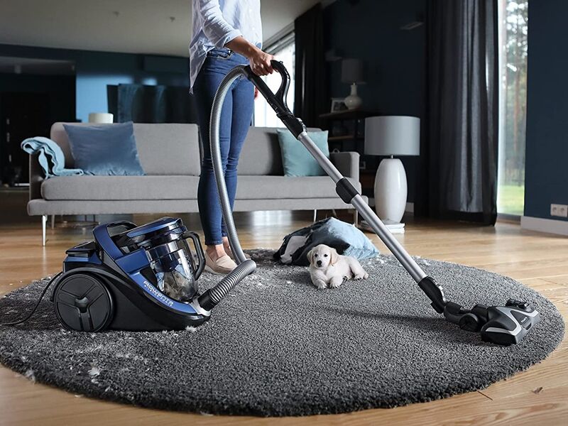 rowenta slience force cyclonic